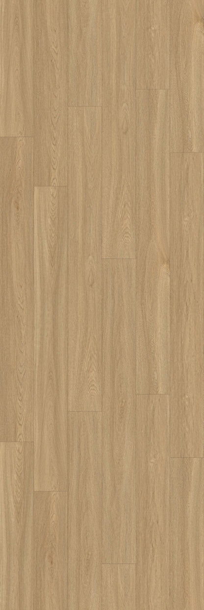 Oatmeal - RP004