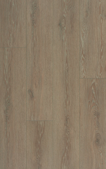 Oxford - SW005