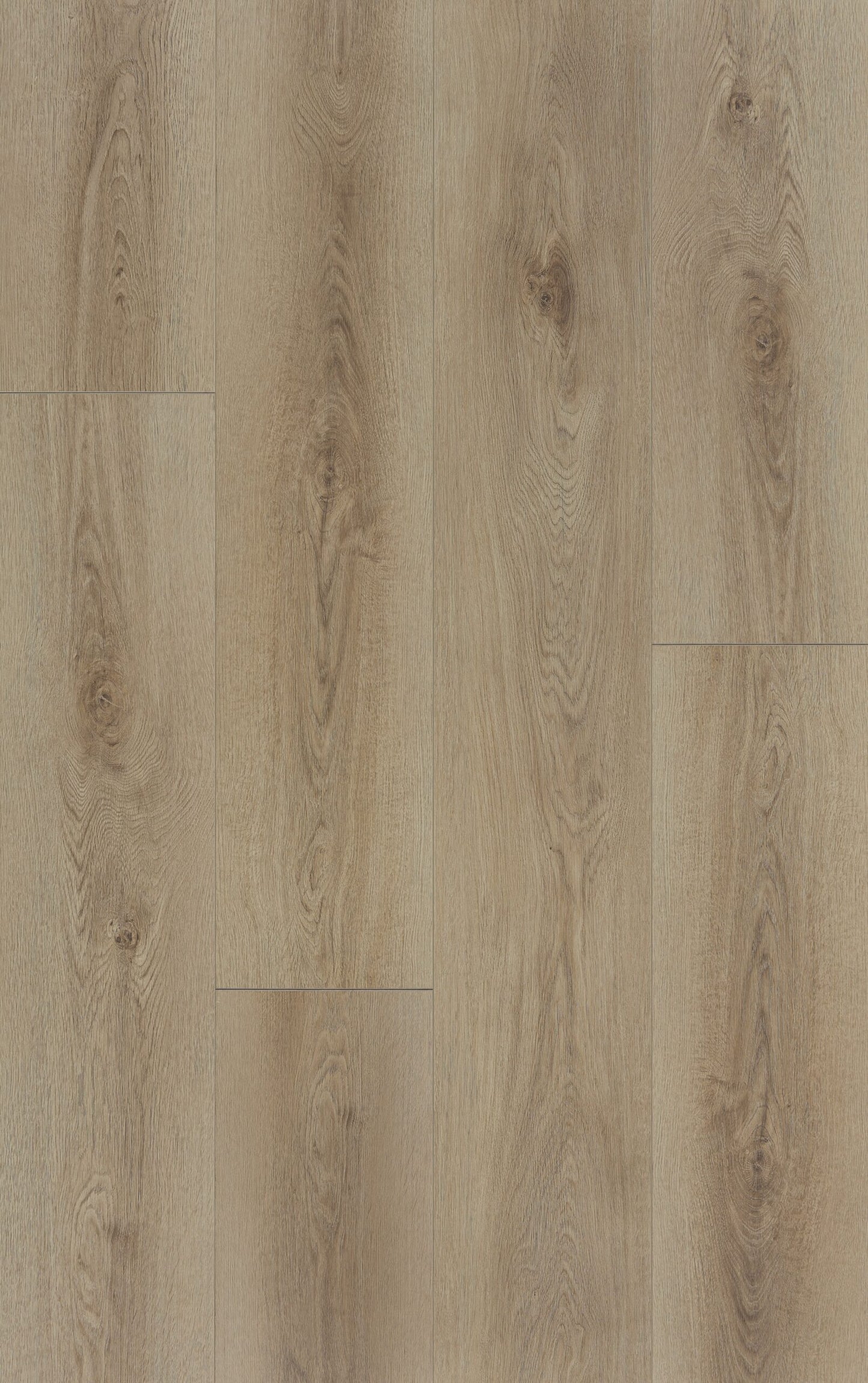 Winter Oak - SW008