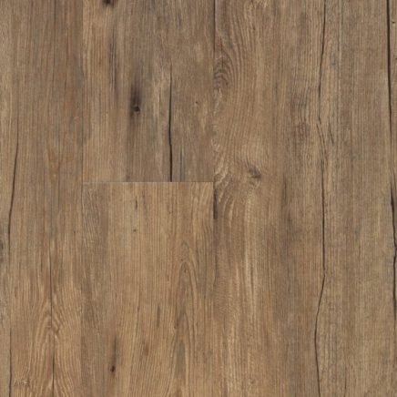 Saldanha | Foundation Plank