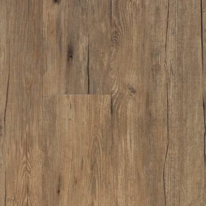 Saldanha | Foundation Plank
