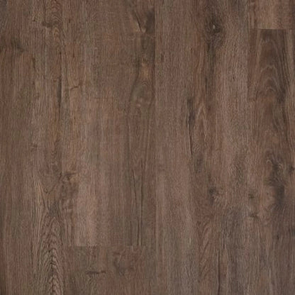 Sierra Nevada | XXL Large Plank