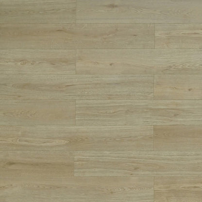 TF6611-F Las Cruces/ 12mm / water resistant Laminate / SKU:TF6611-F