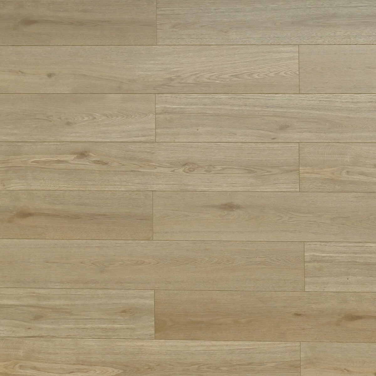 TF6612-F Melrose/ 12mm / water resistant Laminate / SKU:TF6612-F