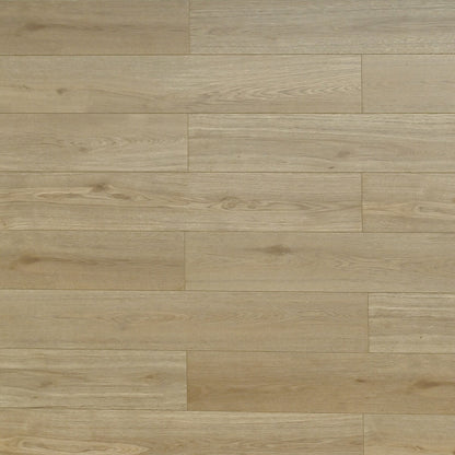 TF6612-F Melrose/ 12mm / water resistant Laminate / SKU:TF6612-F