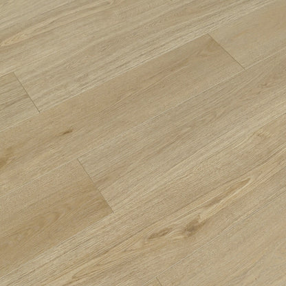 TF6612-F Melrose/ 12mm / water resistant Laminate / SKU:TF6612-F