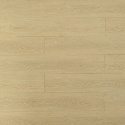 TF8103 Bandelier/ 8+2mm / water resistant Laminate / SKU:TF8103
