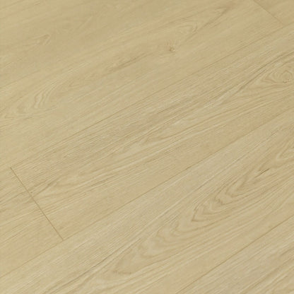 TF8103 Bandelier/ 8+2mm / water resistant Laminate / SKU:TF8103