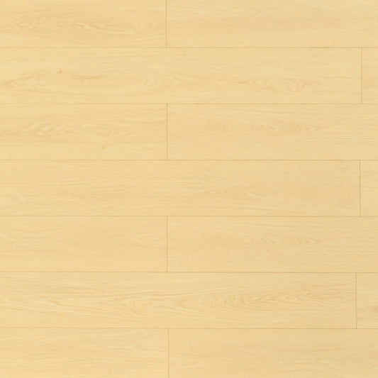 TF8104 Dune/ 8+2mm / water resistant Laminate / SKU:TF8104