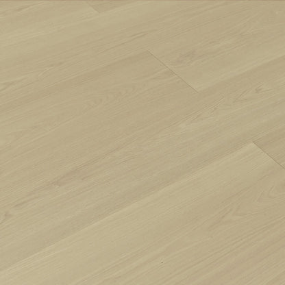 TF8112 White Wash/ 8+2mm / water resistant Laminate / SKU:TF8112