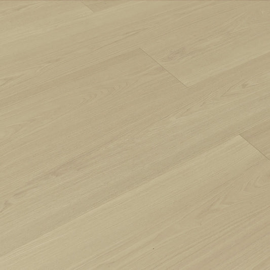 TF8112 White Wash/ 8+2mm / water resistant Laminate / SKU:TF8112