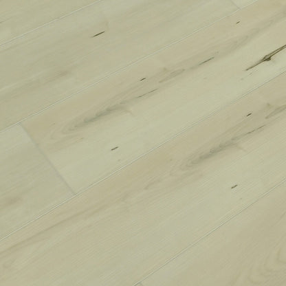 TFSPC612-F Belgrade / 6.5+1.5 mm / Vinyl / SKU: TFSPC612-F