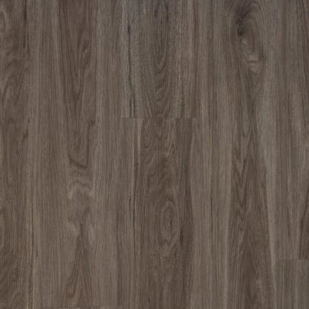Taransa | Foundation Plank