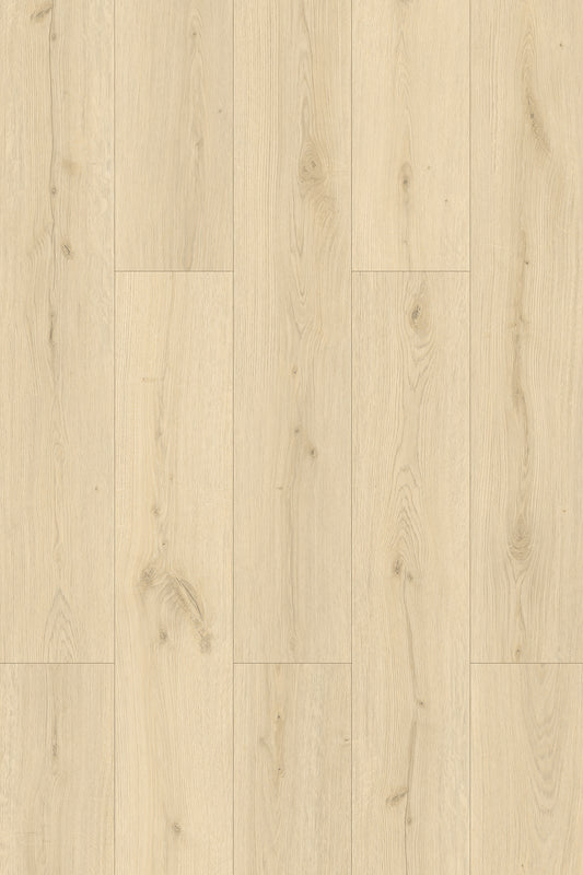 Wild Oak | HydroXpert