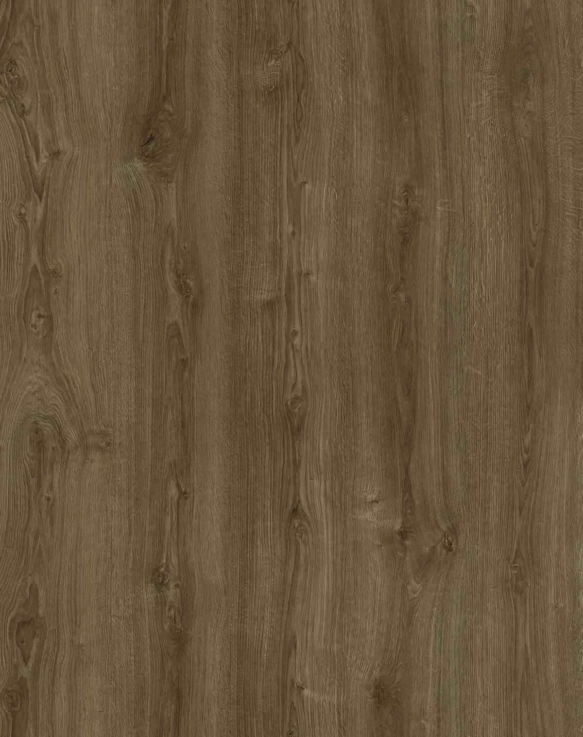Saddle | Aurra
