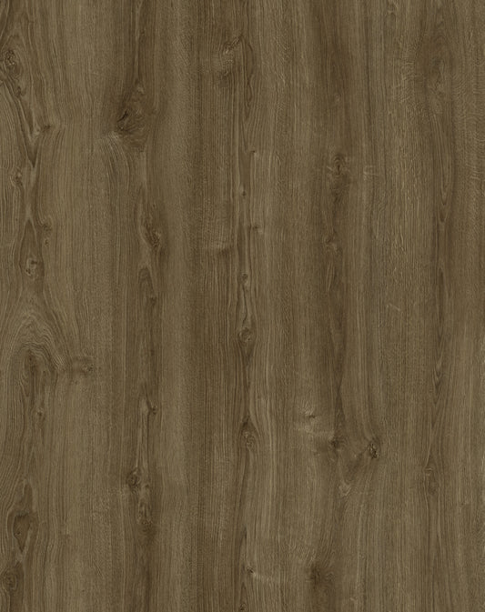 Saddle | Aurra