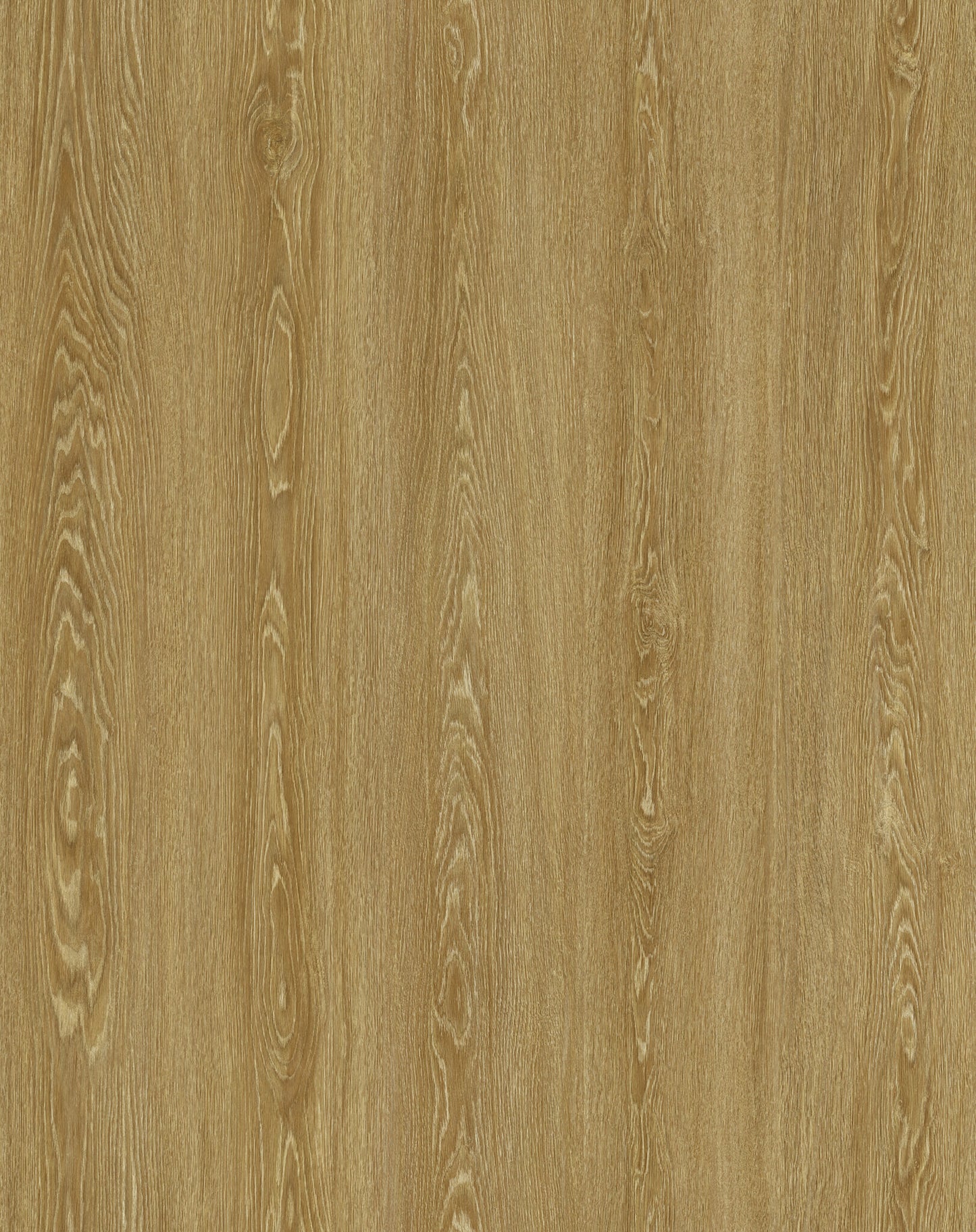 Apricot | Aurra