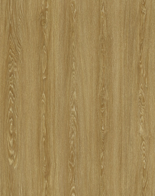 Apricot | Aurra