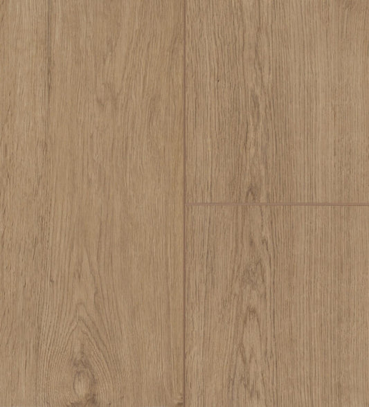 Muson | Artfloor - Privilege