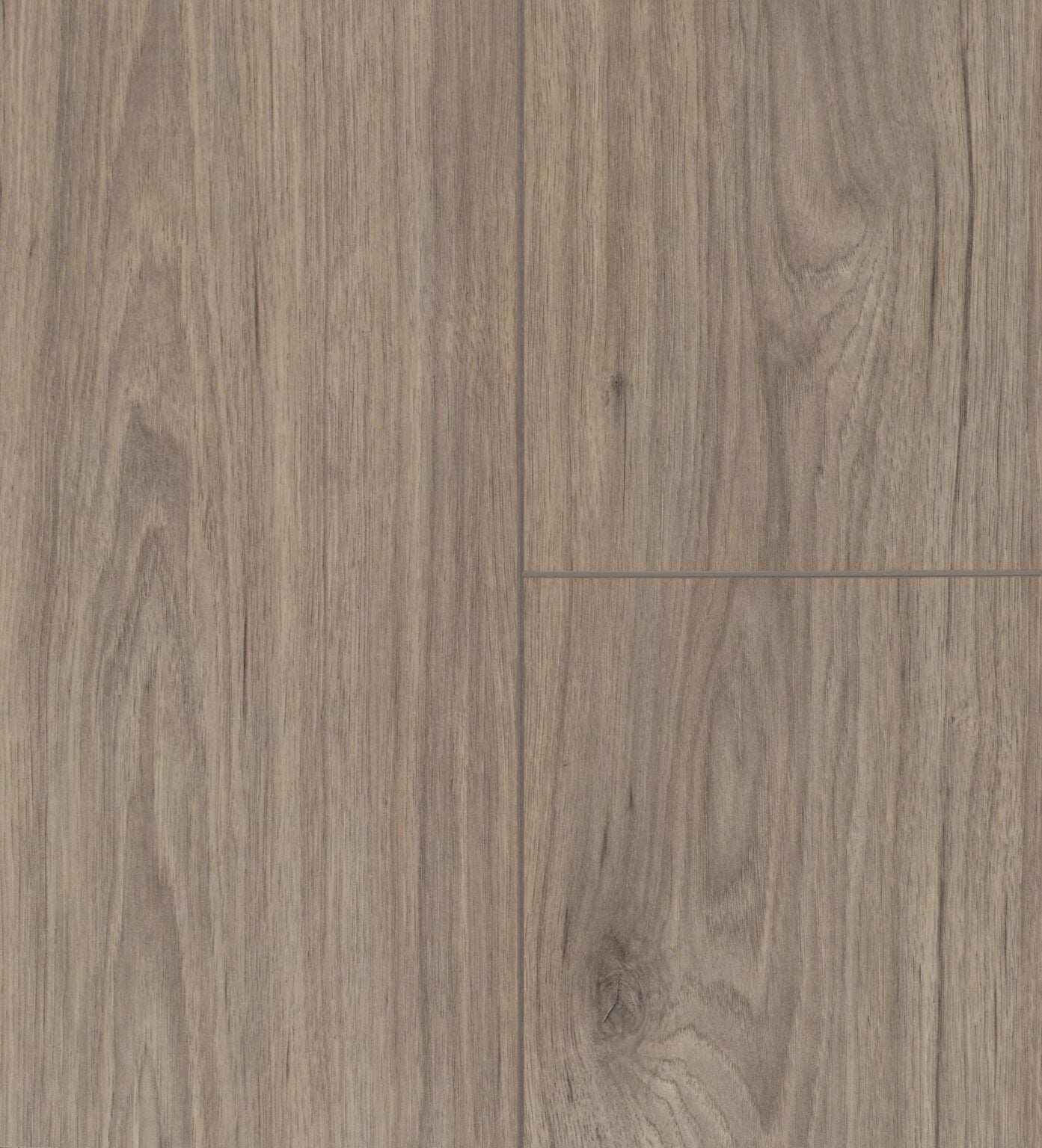 Hawk | Artfloor - River