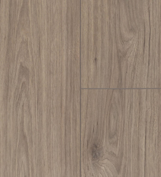Hawk | Artfloor - River