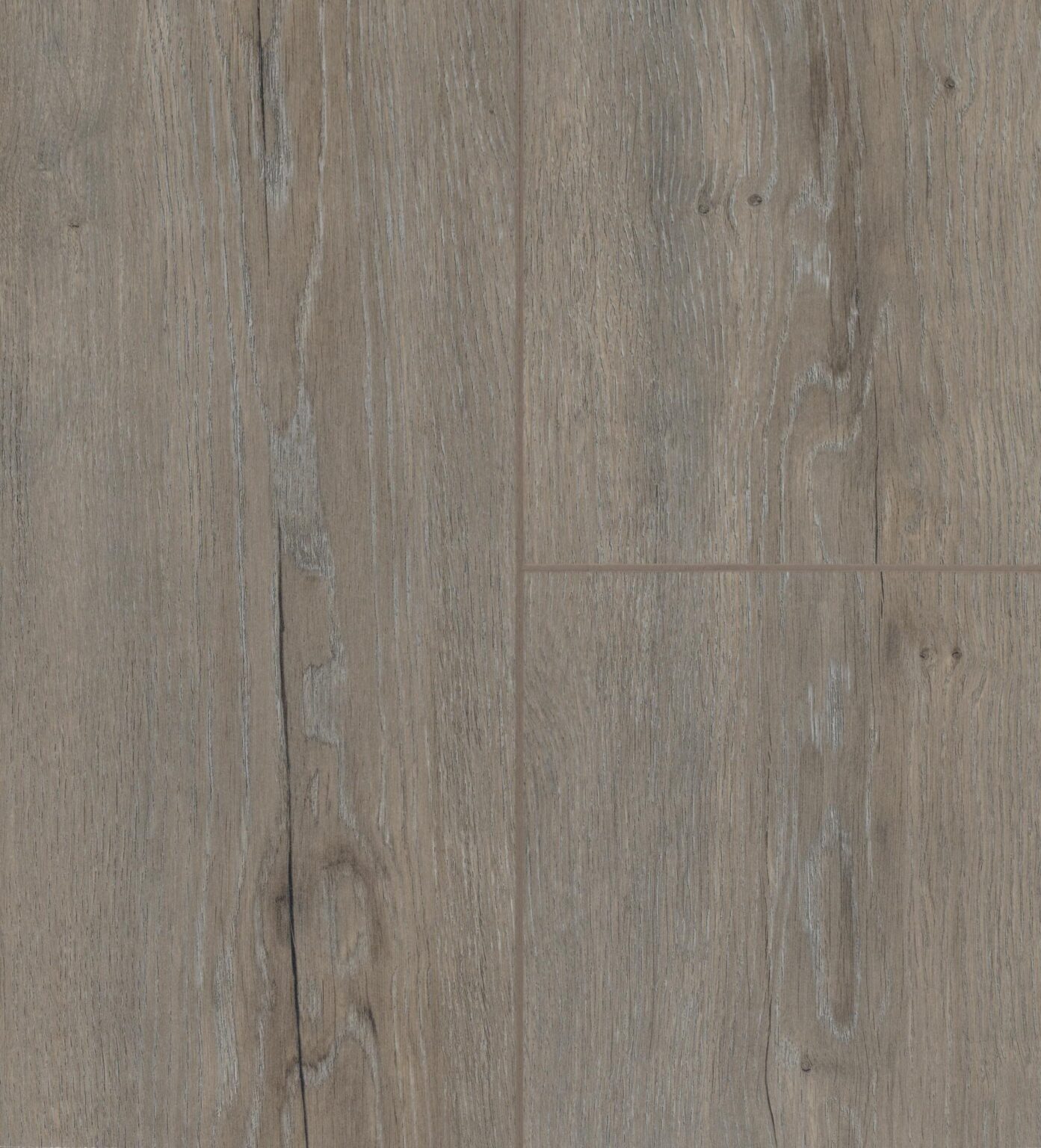Parrot | Artfloor - River