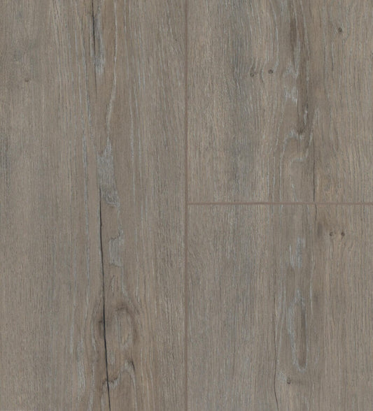 Parrot | Artfloor - River